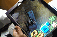 DionsaurAR