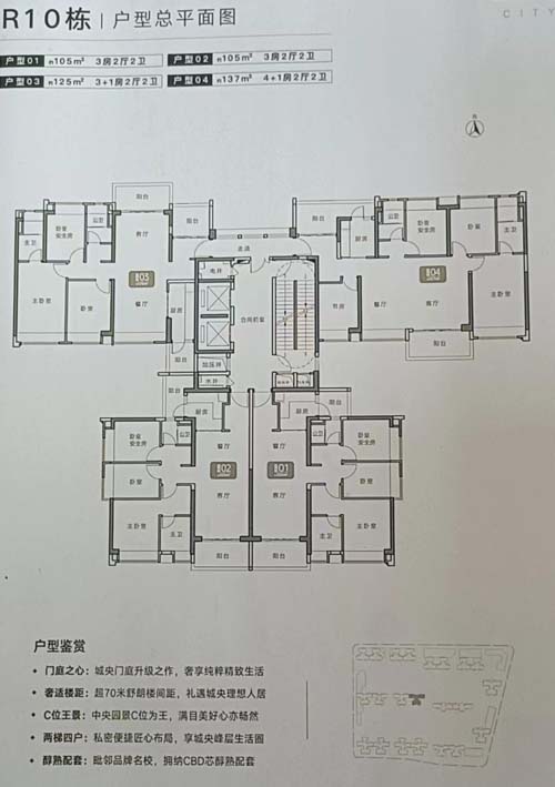 星铃丹·装修设计·富颐华庭R10栋楼层平面图